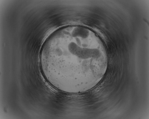 X0000097491287200803201523