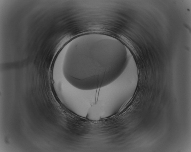 X0000097491291200803201523