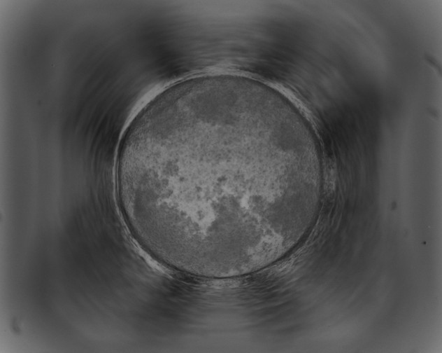 X0000097491294200803201523