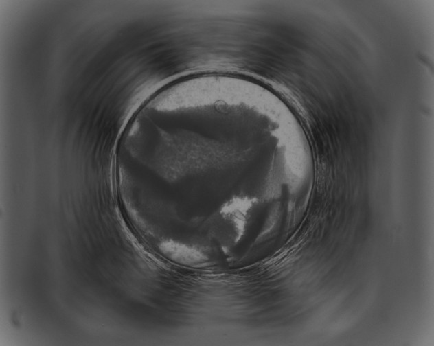 X0000097491295200803201523