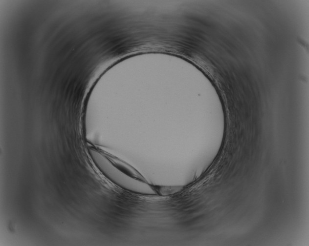 X0000097491296200803201523