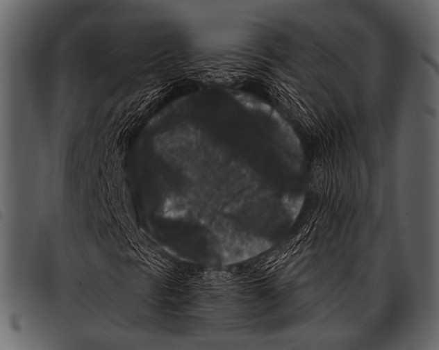 X0000097491297200803201522