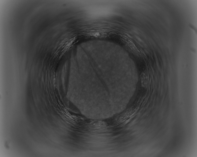 X0000097491298200803201522