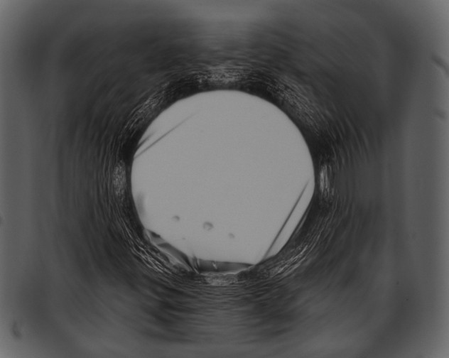 X0000097491299200803201522