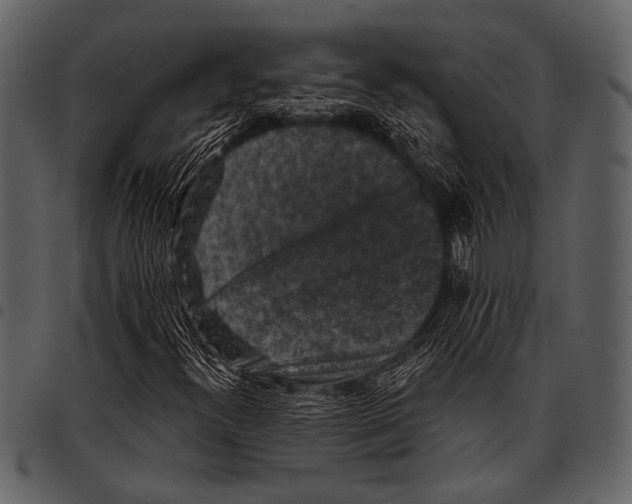 X0000097491300200803201522