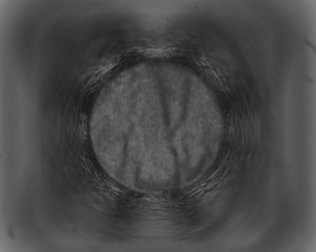 X0000097491301200803201522