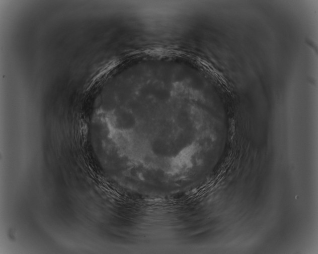 X0000097491302200803201522