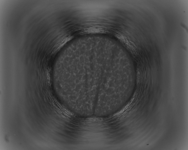 X0000097491305200803201522