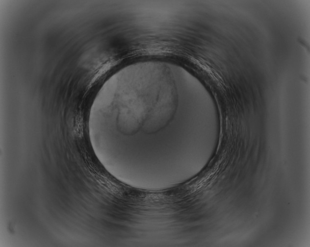 X0000097491306200803201522