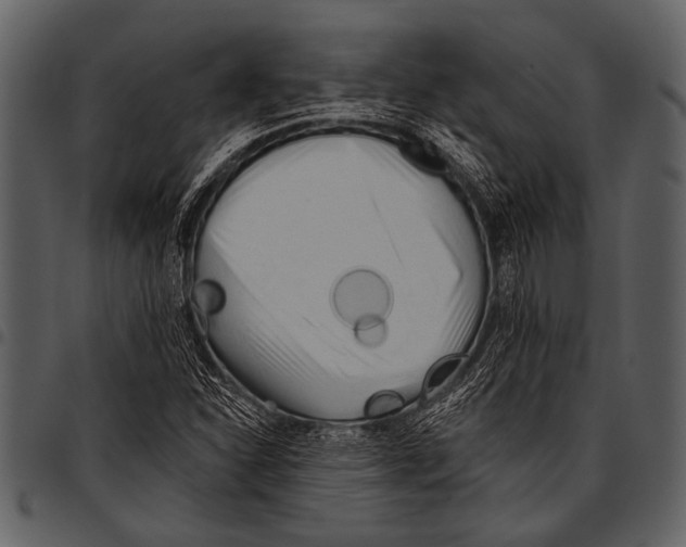 X0000097491310200803201522