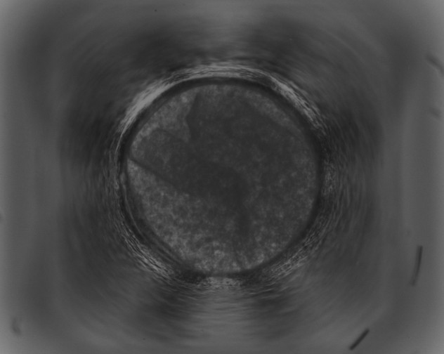 X0000097491312200803201522