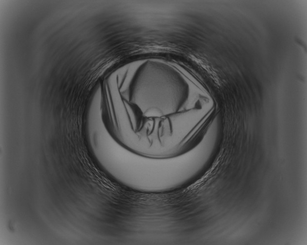 X0000097491313200803201522