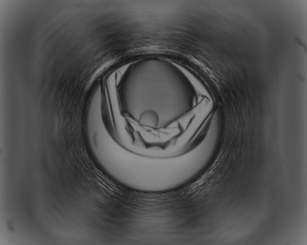 X0000097491314200803201522