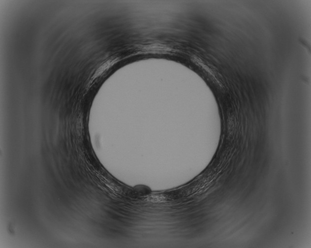 X0000097491315200803201522