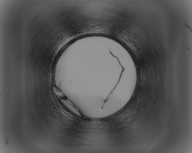 X0000097491316200803201522