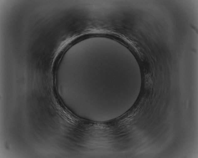 X0000097491319200803201522