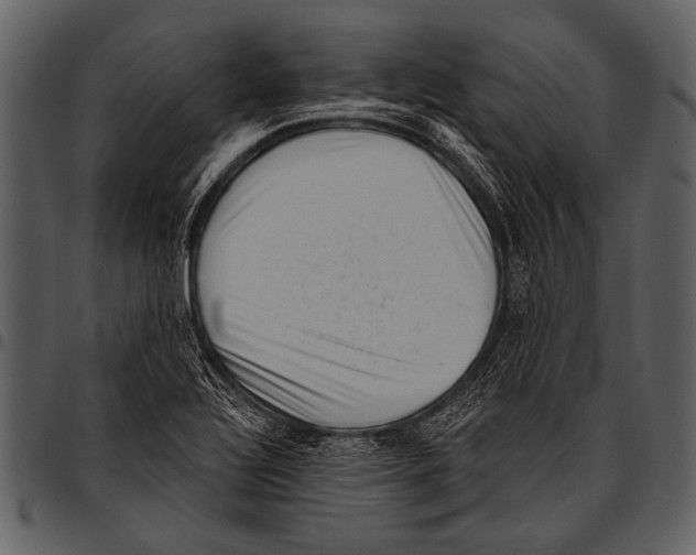 X0000097491320200803201522