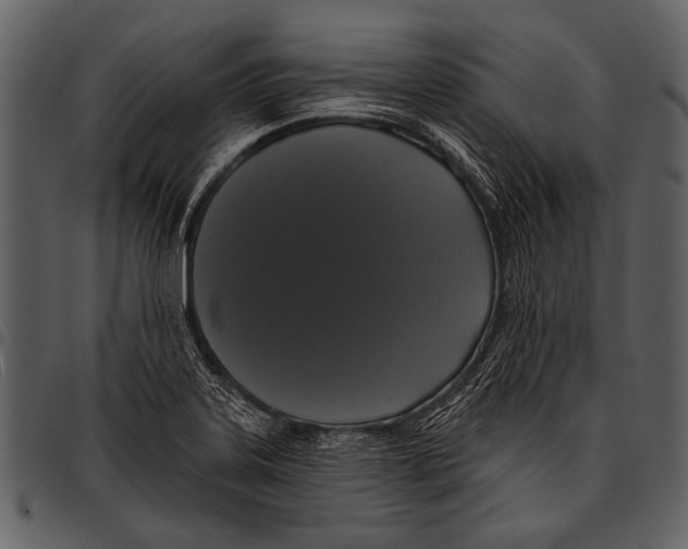 X0000097491323200803201522