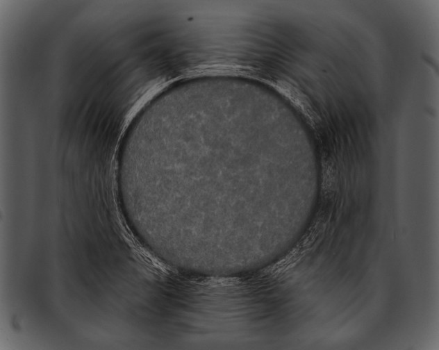 X0000097491325200803201522