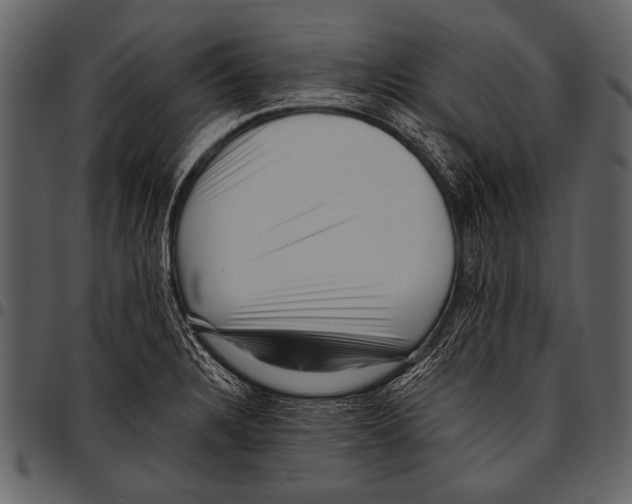 X0000097491328200803201522