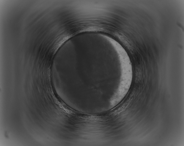 X0000097491329200803201522