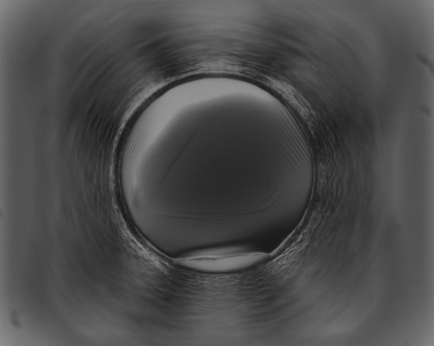 X0000097491331200803201522