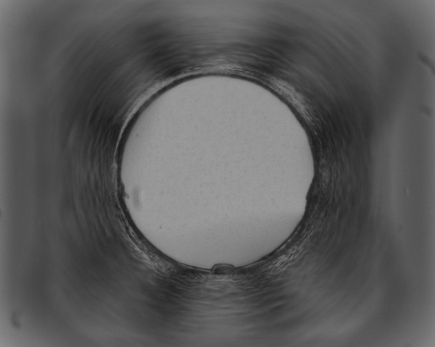 X0000097491332200803201522