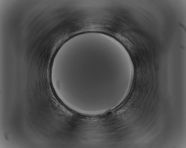 X0000097491334200803201522