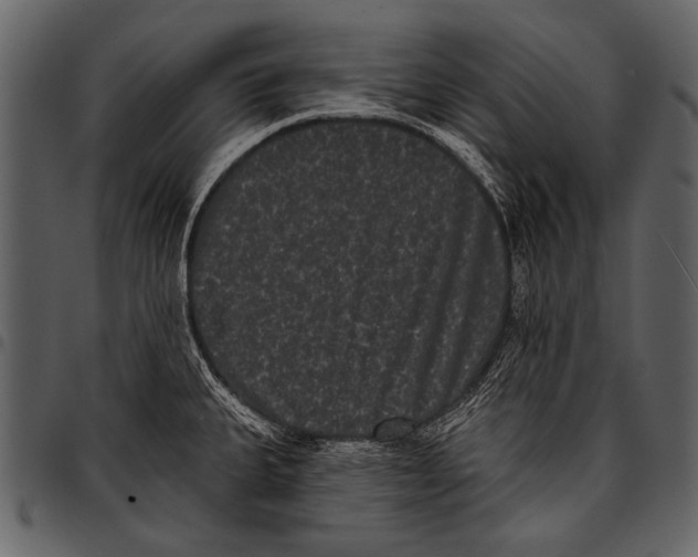 X0000097491335200803201522