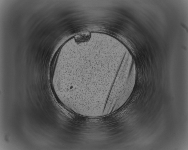 X0000097491339200803201522