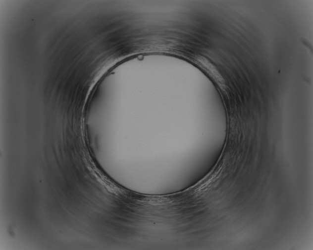 X0000097491340200803201522