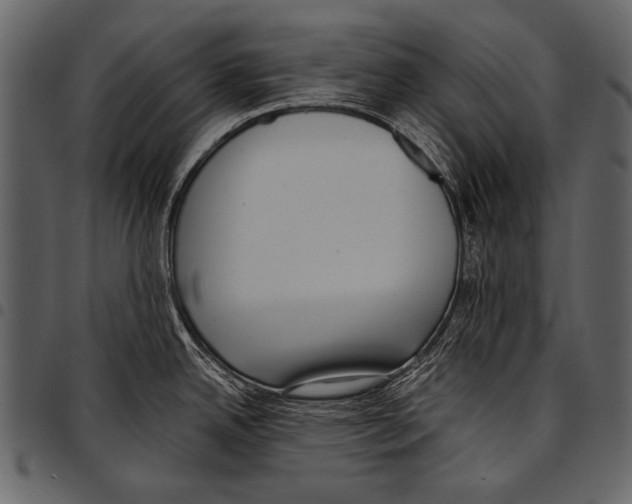 X0000097491342200803201522