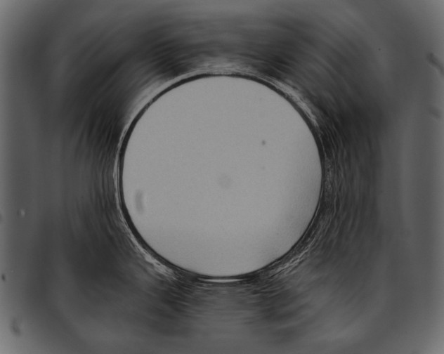 X0000097491343200803201523