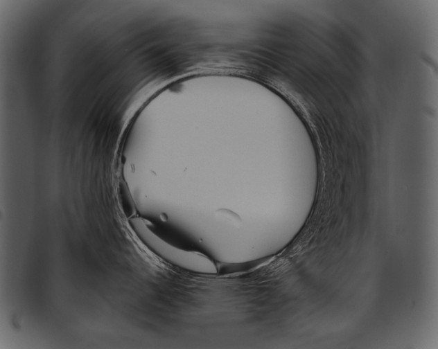 X0000097491344200803201523