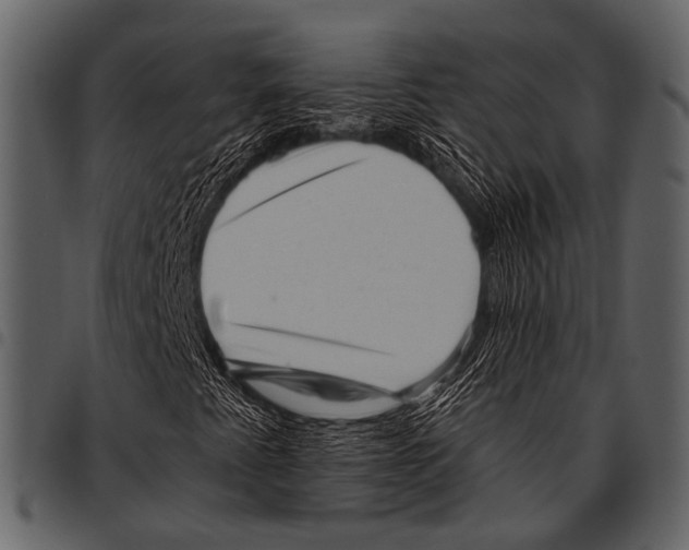 X0000097491345200803201522