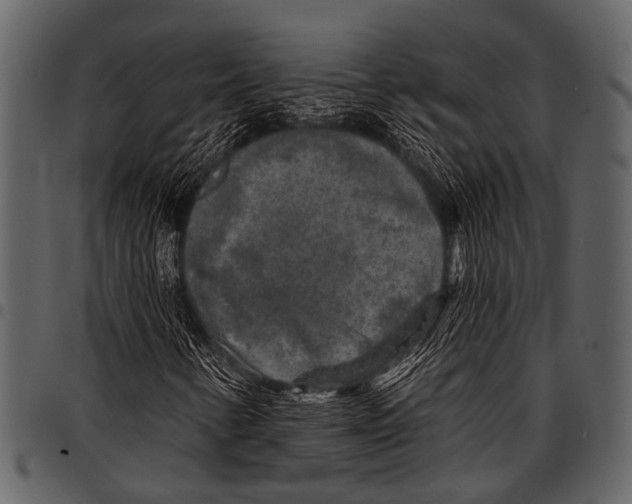 X0000097491346200803201522