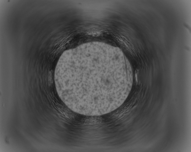 X0000097491347200803201522