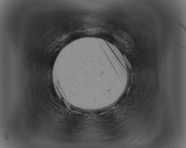 X0000097491349200803201522