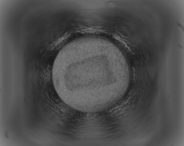 X0000097491350200803201522