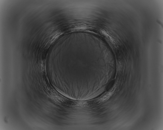 X0000097491353200803201522