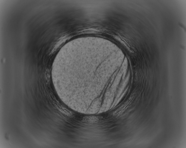 X0000097491355200803201522