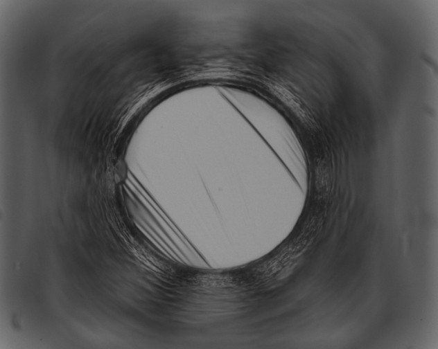 X0000097491356200803201522