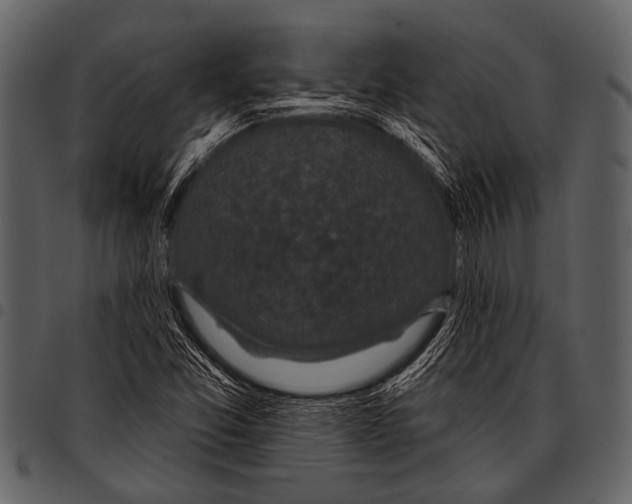 X0000097491357200803201522