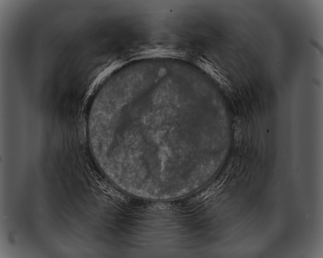 X0000097491358200803201522