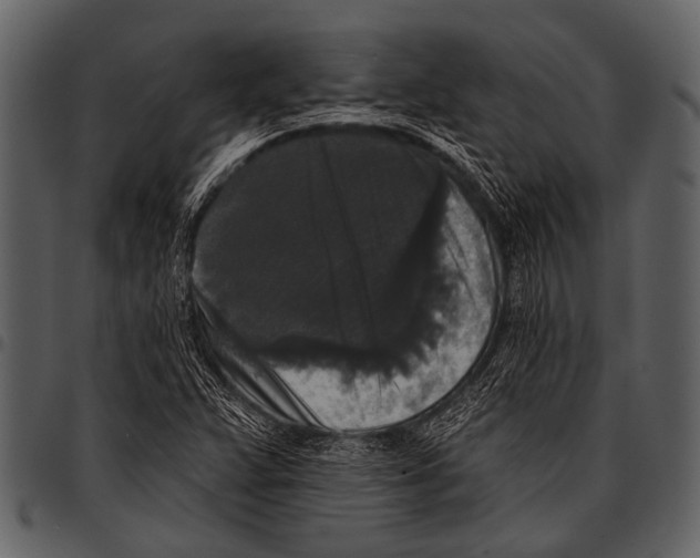 X0000097491359200803201522