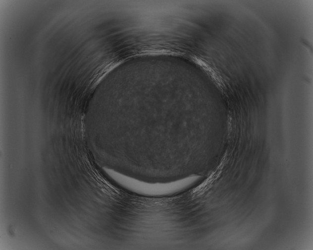 X0000097491361200803201521