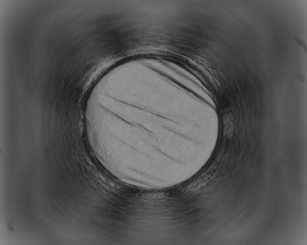 X0000097491363200803201521