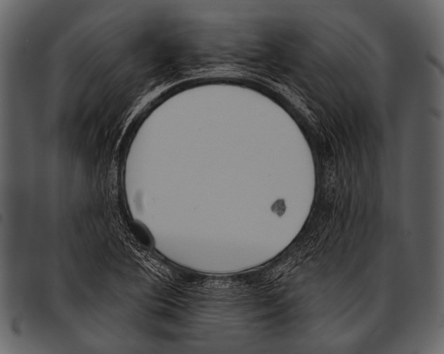 X0000097491364200803201521