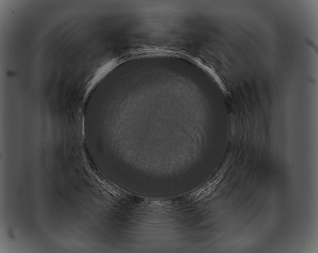 X0000097491365200803201521