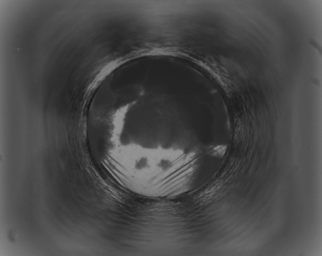 X0000097491367200803201521